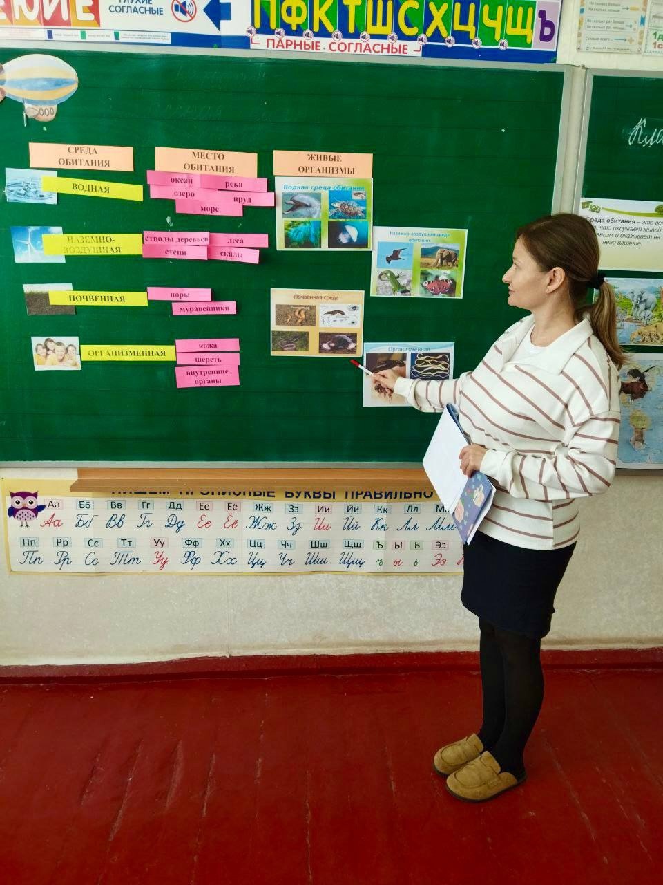 Изображения.